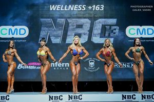 WELLNESS +163